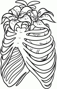 236x370 How To Draw A Rib Cage Tattoo, Step By Step, Tattoos, Pop Culture