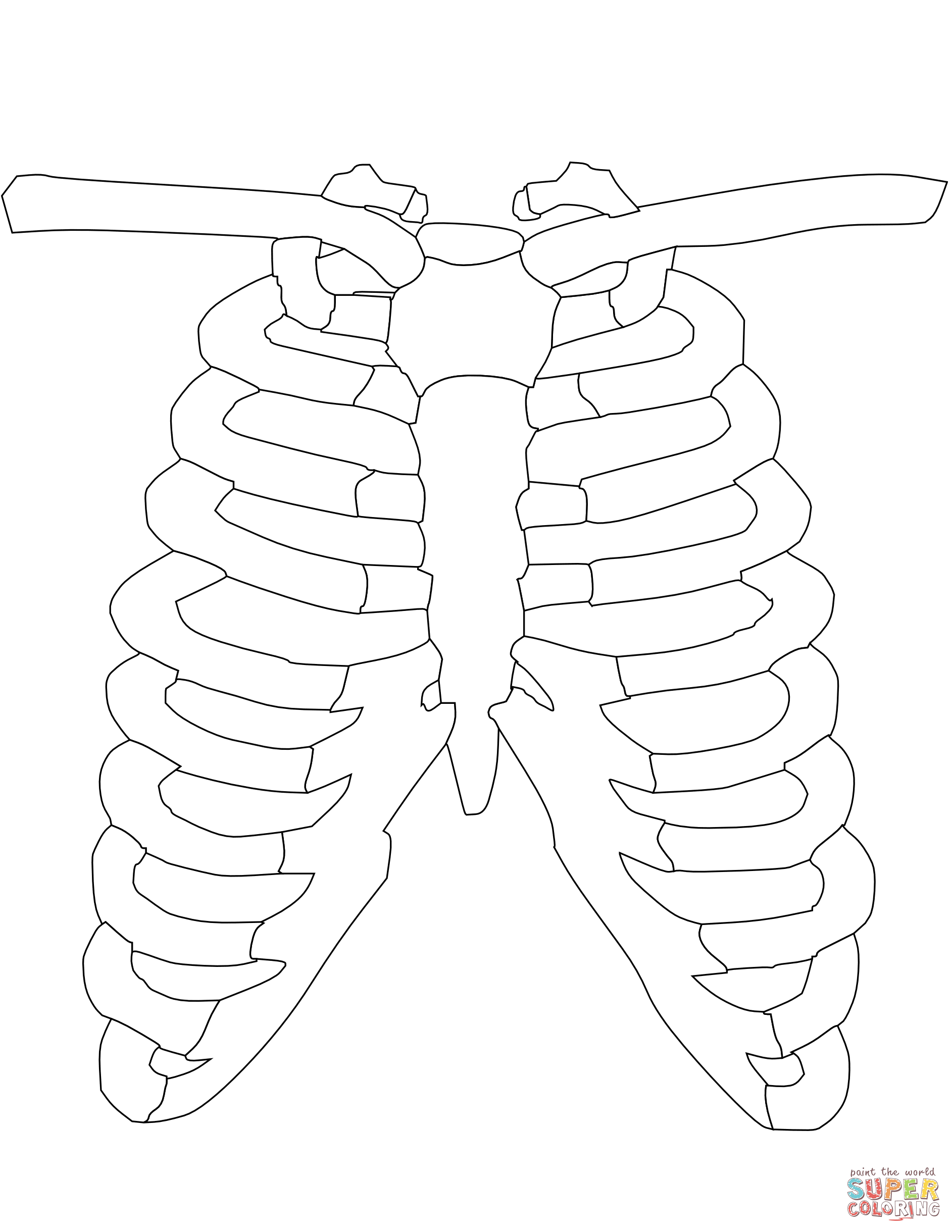 1885x2440 Ribs Coloring Page Free Printable Coloring Pages