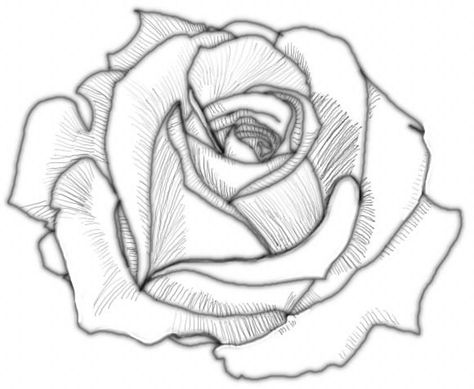 474x389 Shading Partir De Rose 1 Aprender A Dibujar
