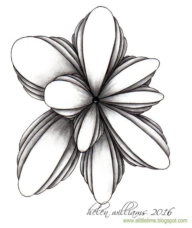 736x874 362 Best Zentangle