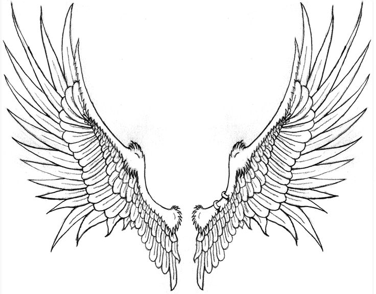 736x575 Drawn Wings Eagle Wing
