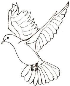 236x292 Drawn Dove Ribbon Drawing