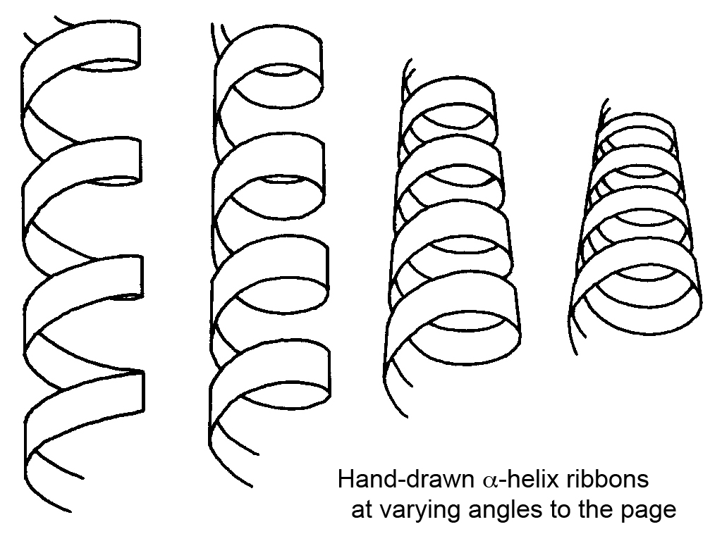 1024x768 Filehand Drawn Helix Ribbons