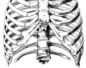 340x270 Medical Drawing Etsy