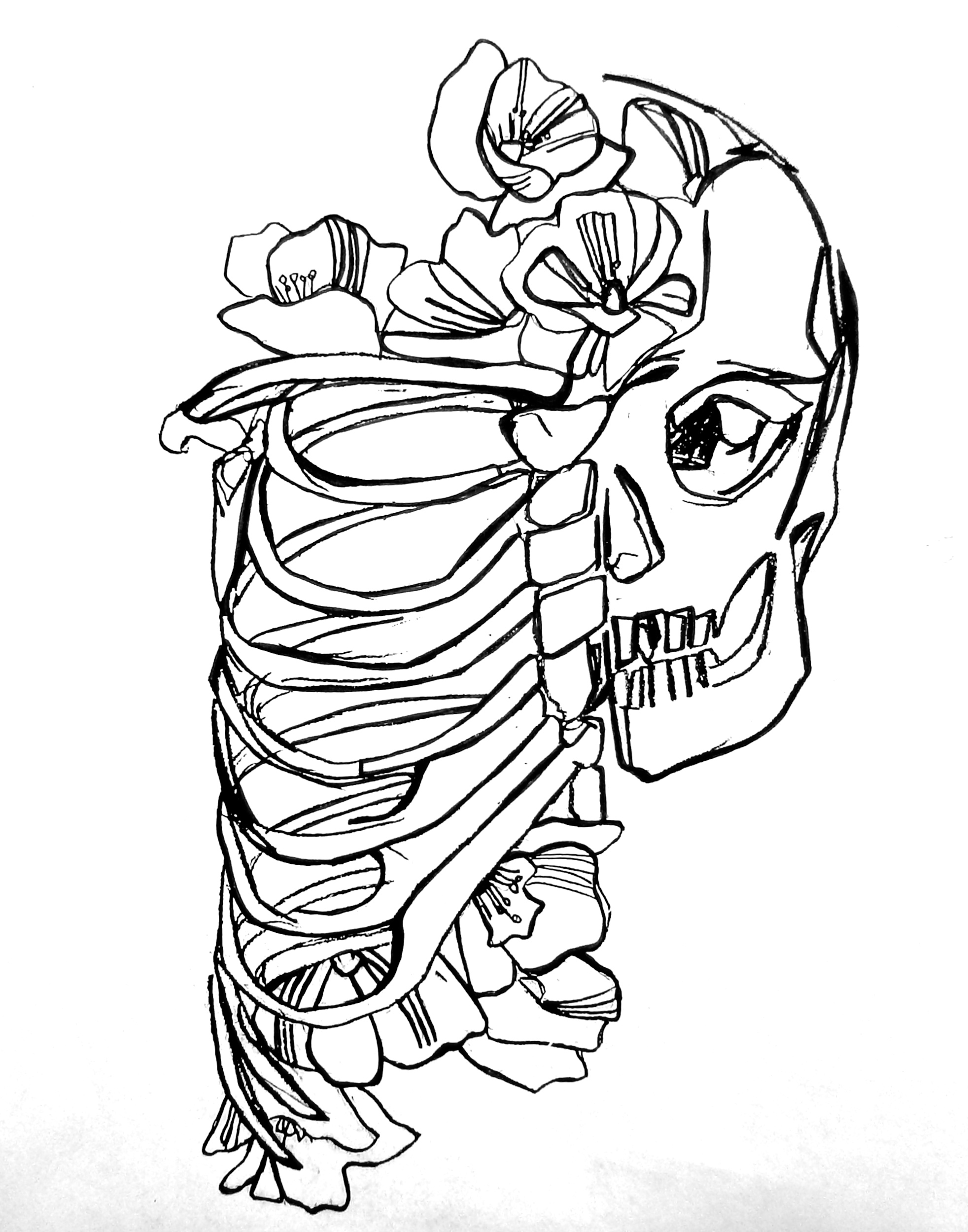 1964x2499 Rib Cage Coloring Pages