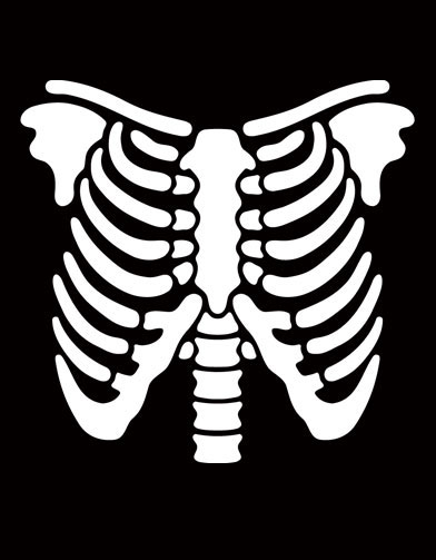 392x503 Skeleton Clipart Ribcage