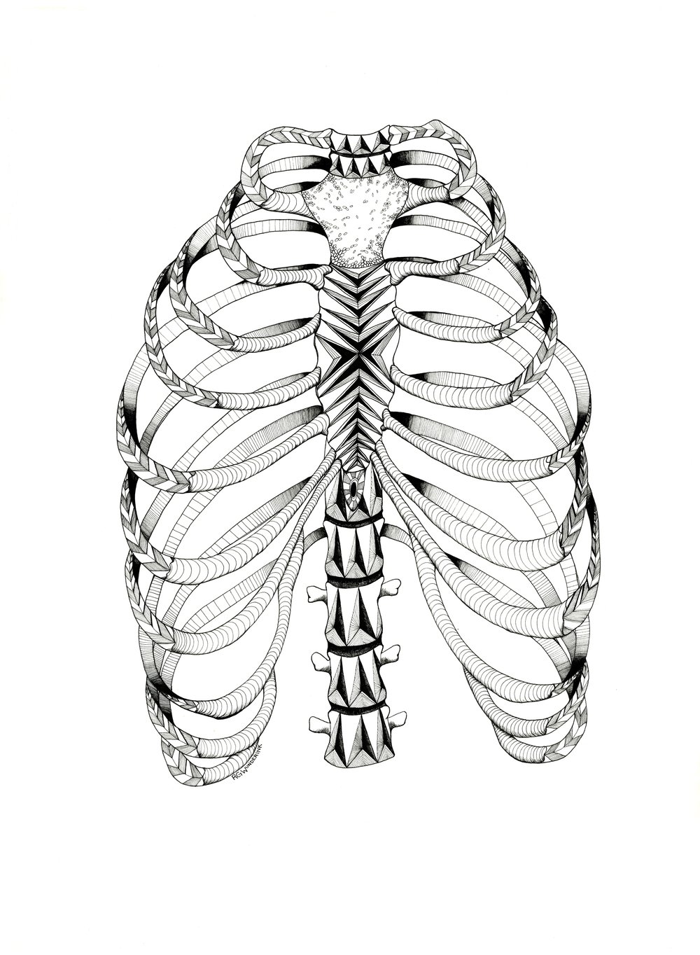 1000x1364 Anatomy Series R.g.wunderink