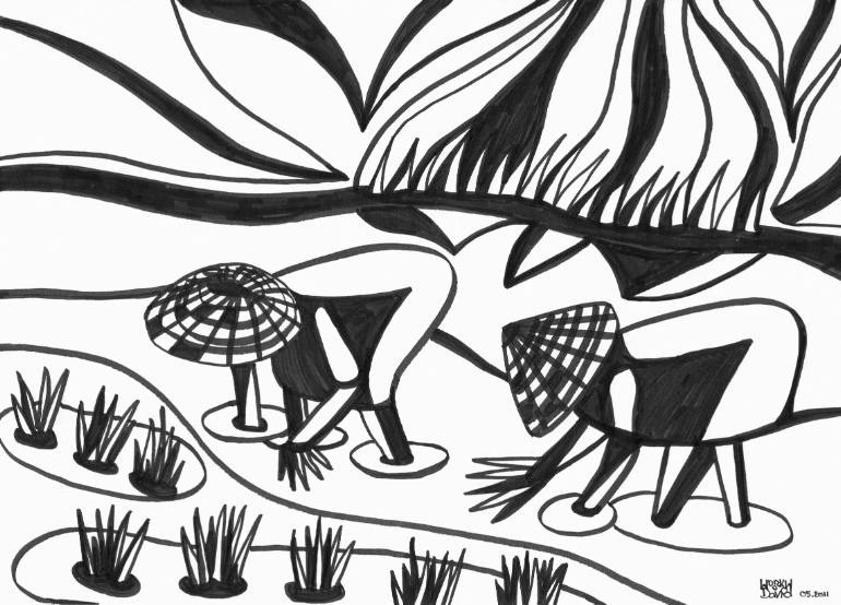 770x554 Saatchi Art Rice Workers Drawing By David Myriam