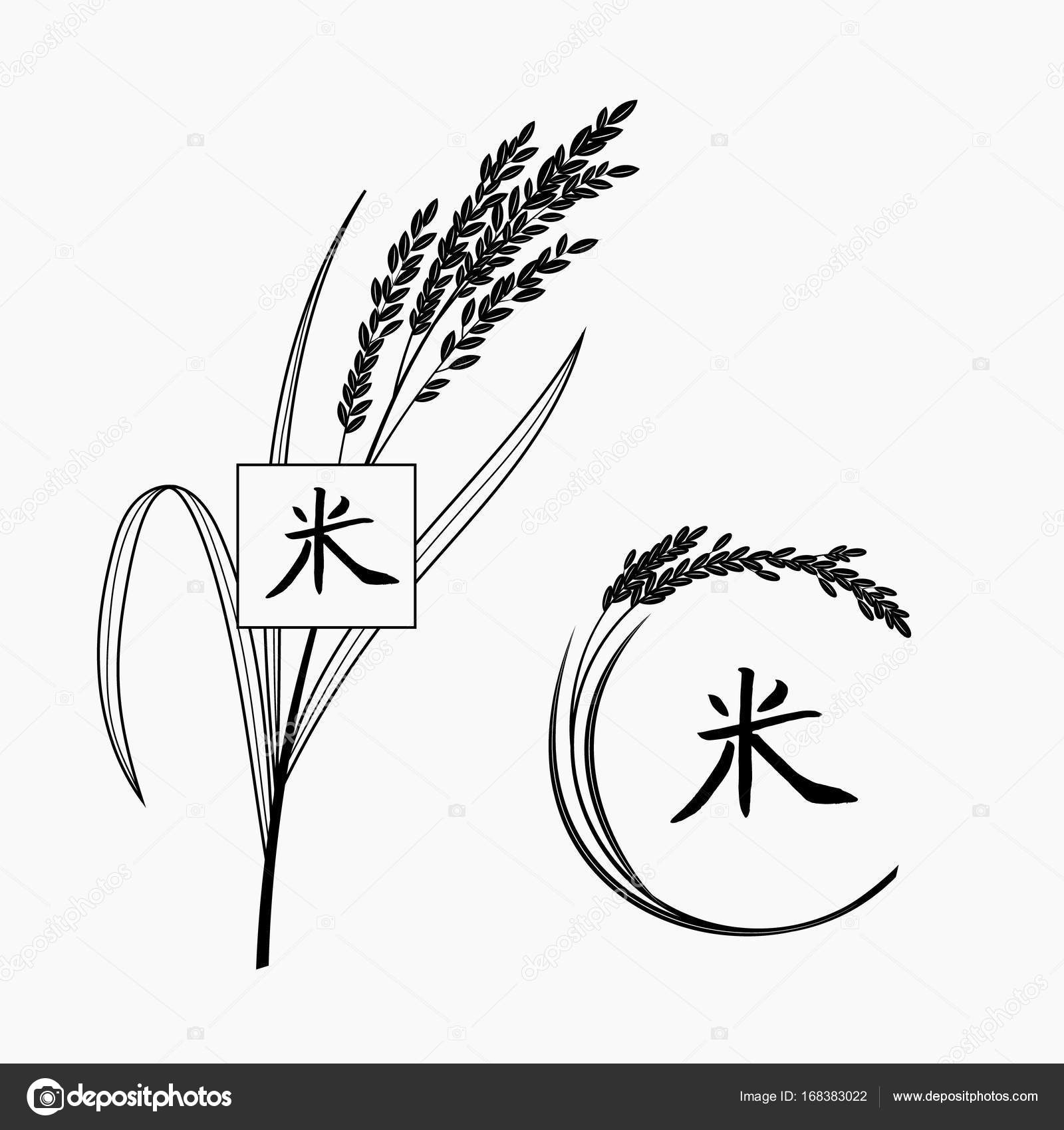 1600x1700 Rice Plant With Hand Written Chinese Character. Stock Vector