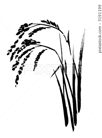 335x450 Ear Of Rice, Paddy, Rice Plant