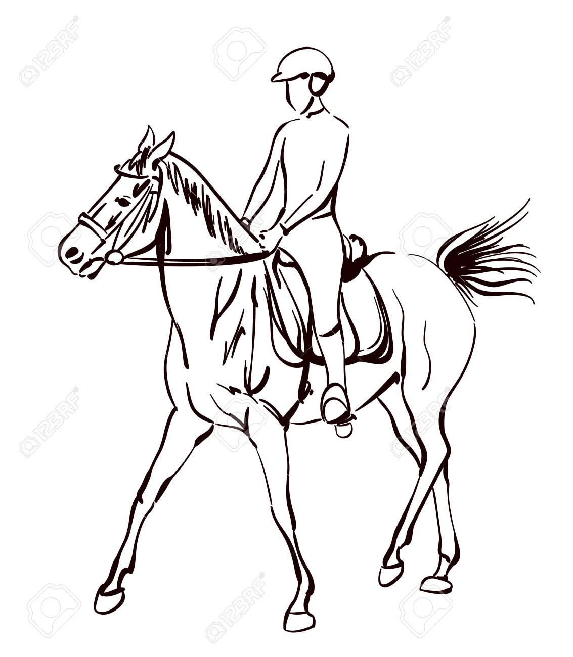 1133x1300 Riding Horse Vector Illustration. Sketchy Drawing On Equestrian