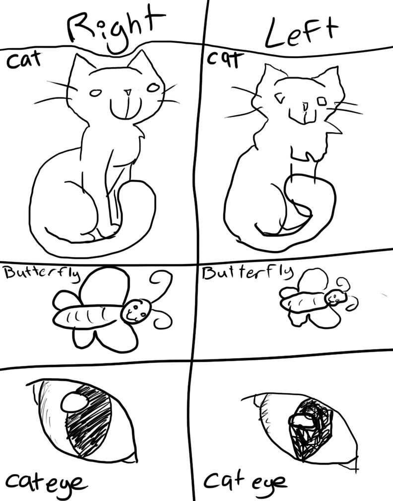 792x1008 Right Vs. Left Hand Drawings. By Calicokitties