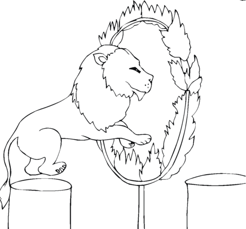 480x447 Lion Jumps Ring Fire Coloring Page
