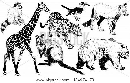 450x287 Hand Drawn Animal (Giraffe, Vector Amp Photo Bigstock