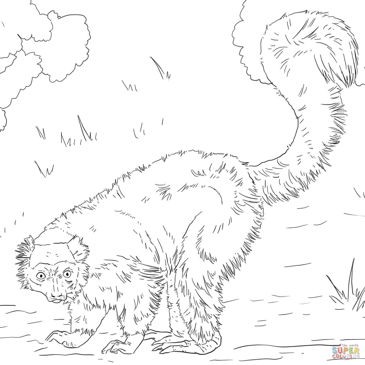 1538x1536 Lemur Coloring Pages Coloring Page For Kids