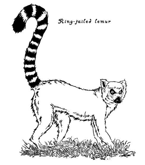 489x557 Drawing Keeve Neo