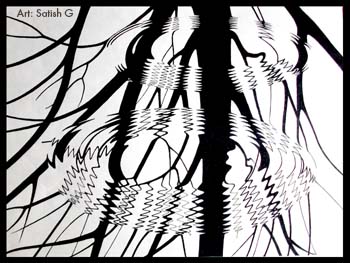 350x263 Roots Amp Ripples Rambling With Bellur