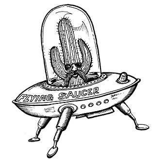 340x331 T.patterson Surfboards Rising Sun Shortboards