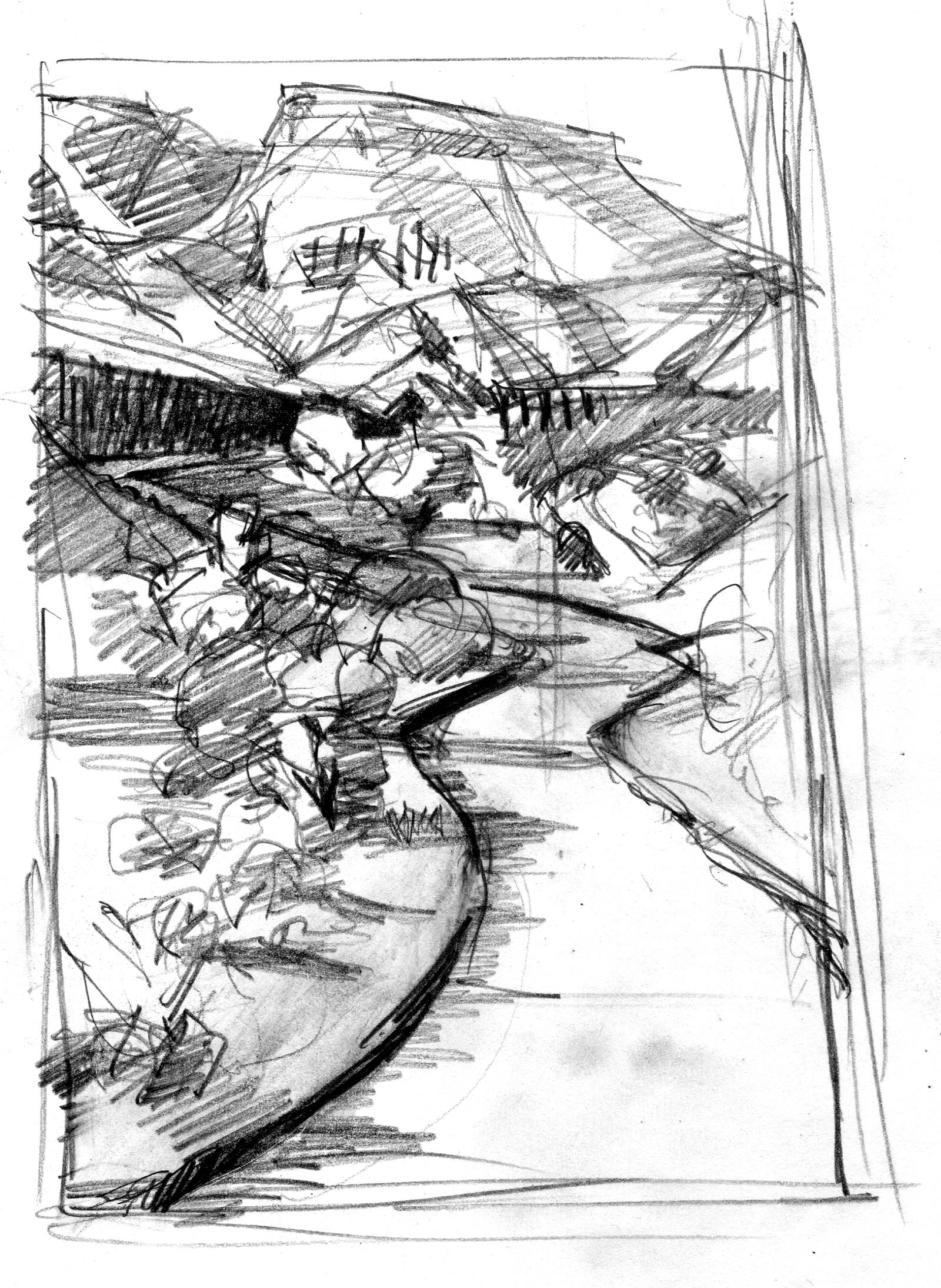 1600x2189 Over The Cliff With Georgia O'Keeffe Drawing The Motmot