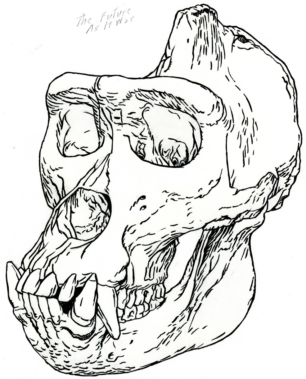 986x1220 Brett Colley