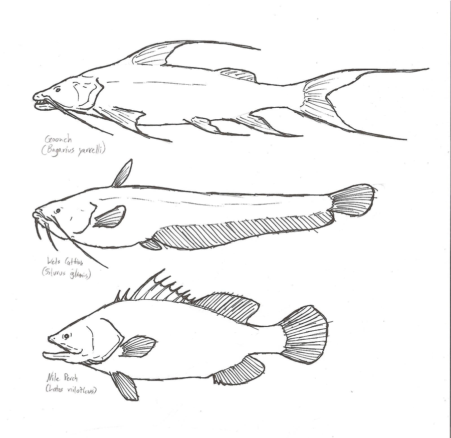 900x874 River Monsters 2 By Kitwhitham