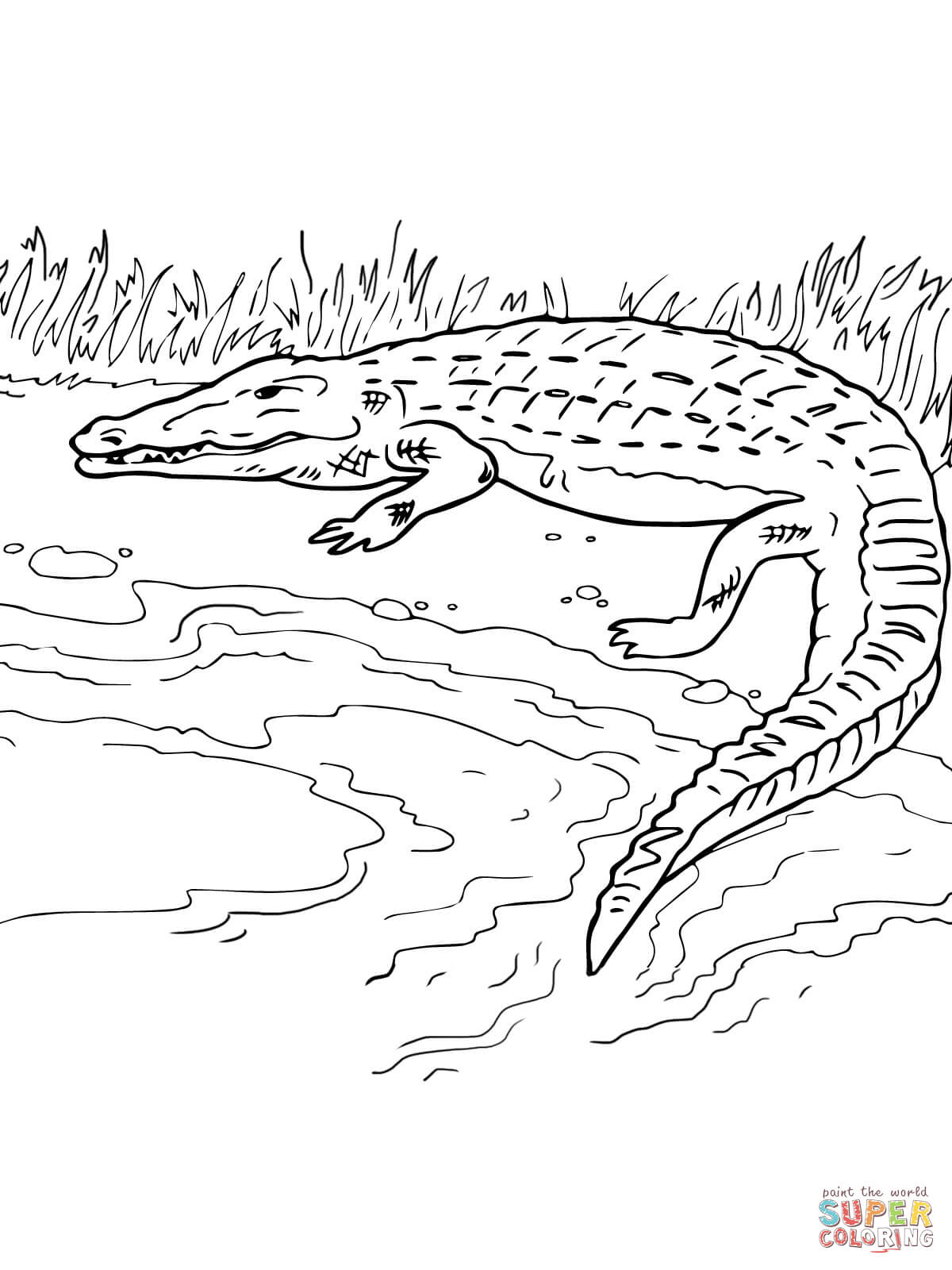 1200x1600 Crocodile On The River Bank Coloring Page Free Printable