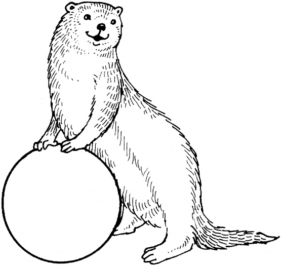 555x525 Sea Otter Cartoon