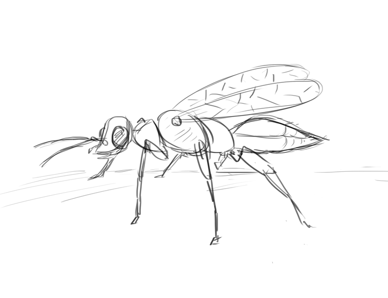 758x583 Art Page 23 Oodles Of Doodles