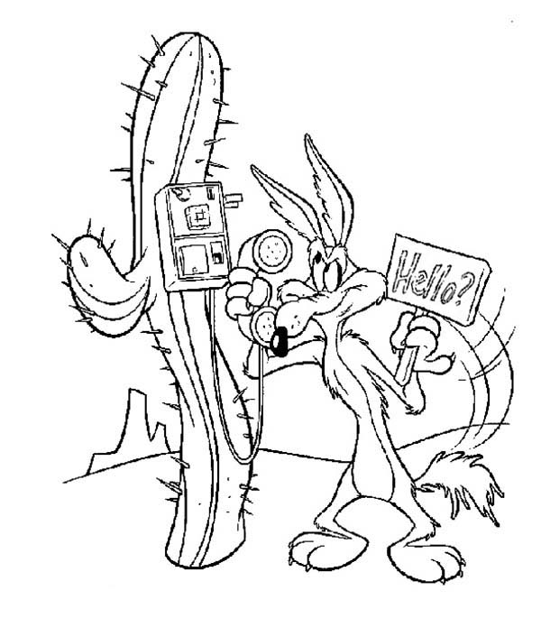 600x685 Wile E Coyote Take A Phone From Roadrunner Coloring Pages Batch