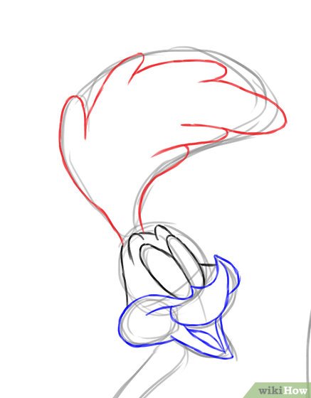 437x560 How To Draw The Road Runner 12 Steps (With Pictures)