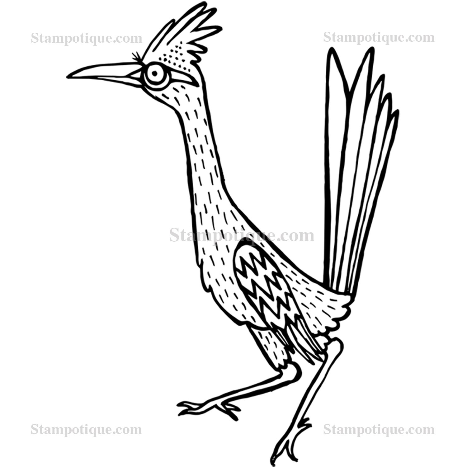 Roadrunner Bird Drawing at GetDrawings | Free download