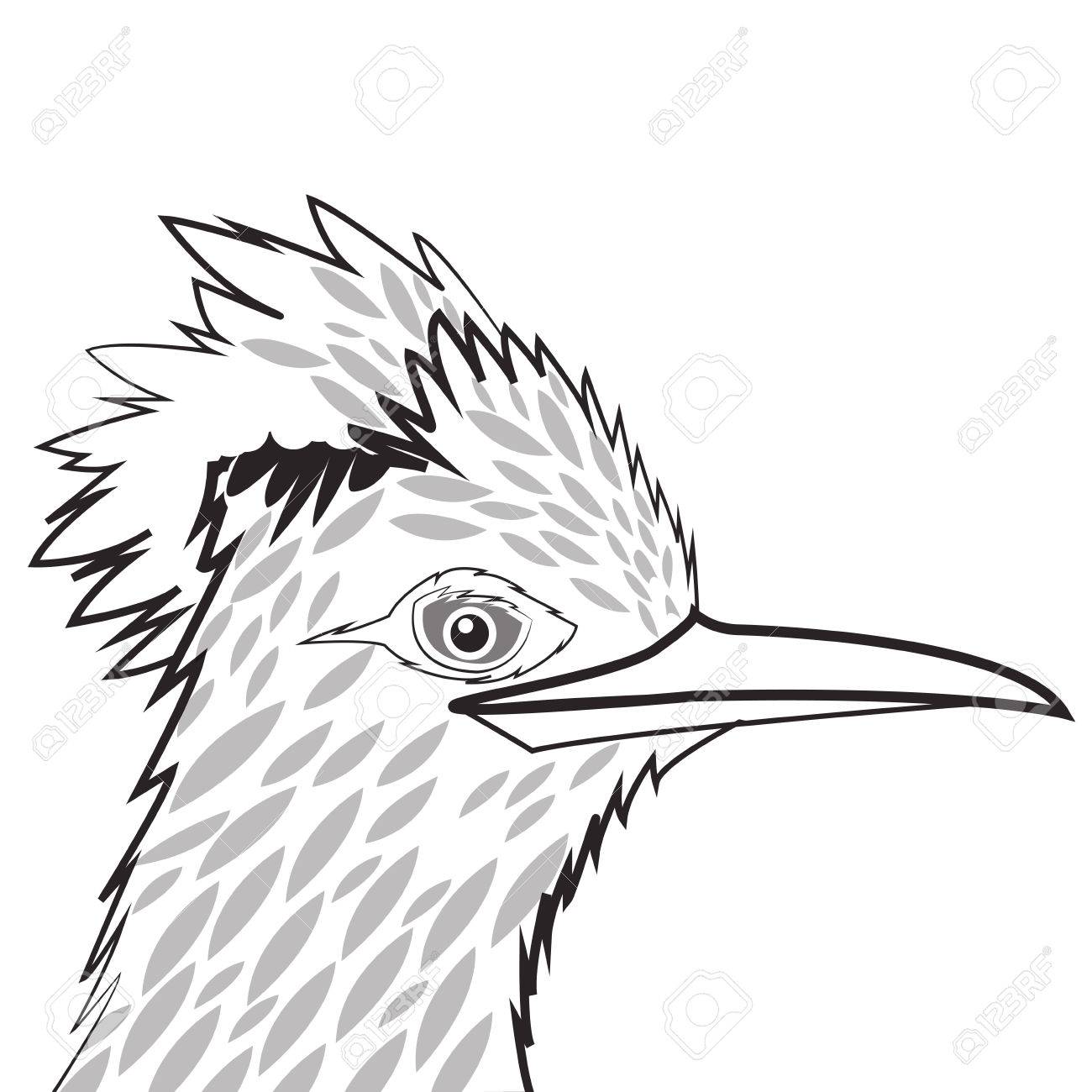 1300x1300 Flat Design Woodpecker Drawing Icon Vector Illustration Royalty