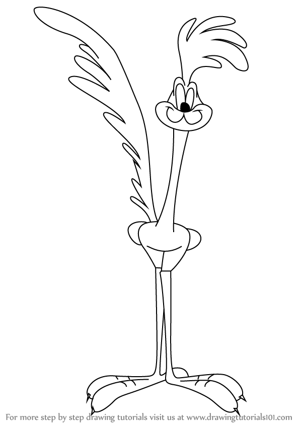 598x844 Learn How To Draw Road Runner From Looney Tunes (Looney Tunes