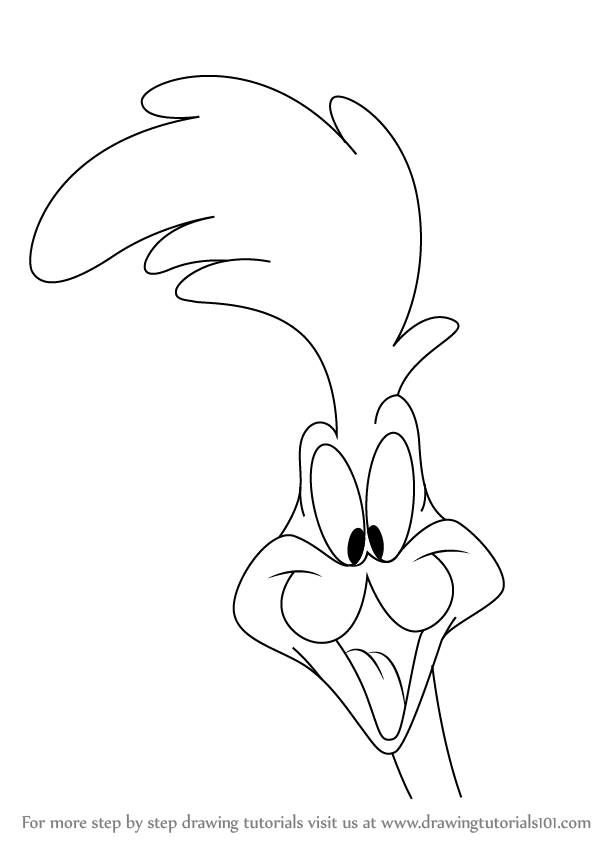 598x844 Learn How To Draw The Road Runner Face (The Road Runner) Step By
