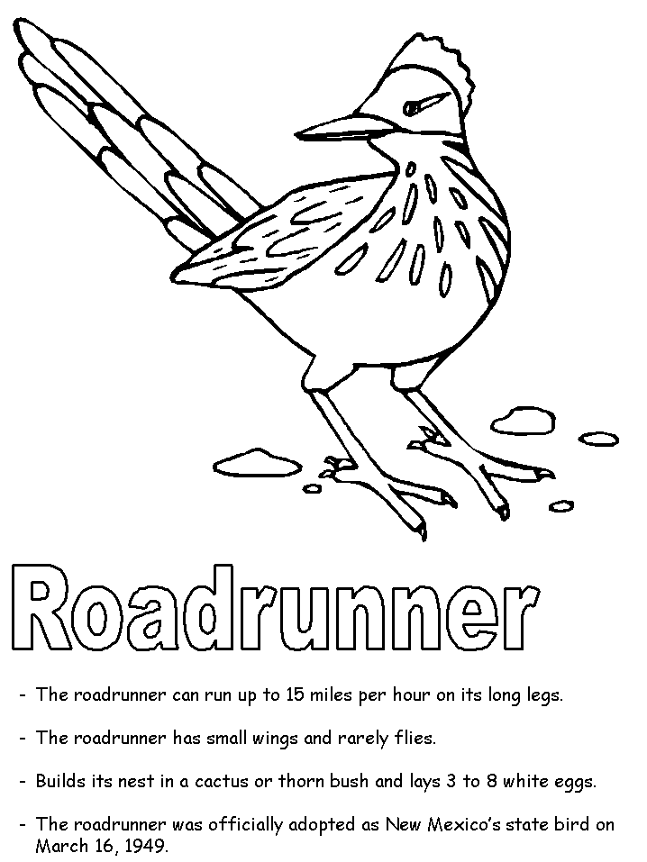 718x957 Roadrunner Coloring Page