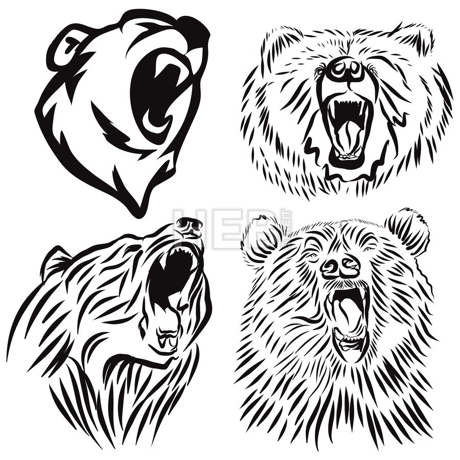 900x900 Four Wild Grizzly Heads, Hand Drawn Vector Roaring Bear Hand