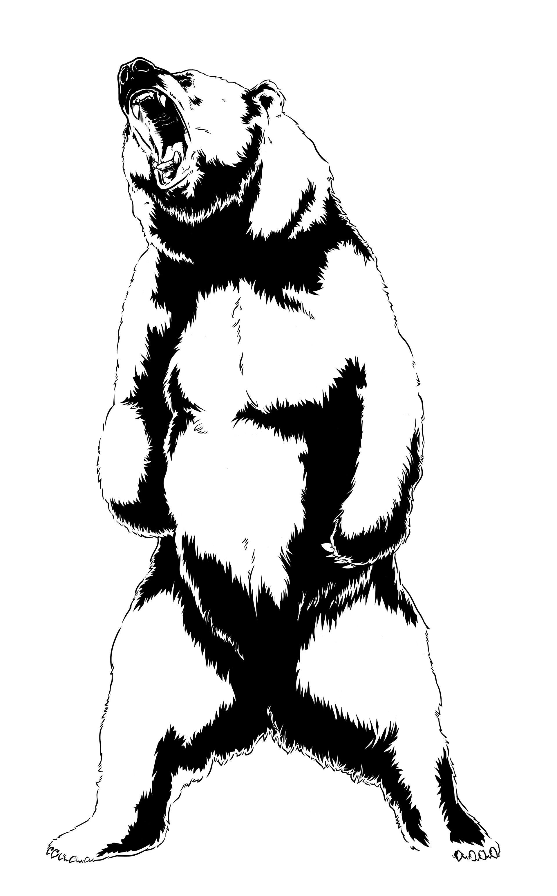 1920x3086 Nelson Yanowitz