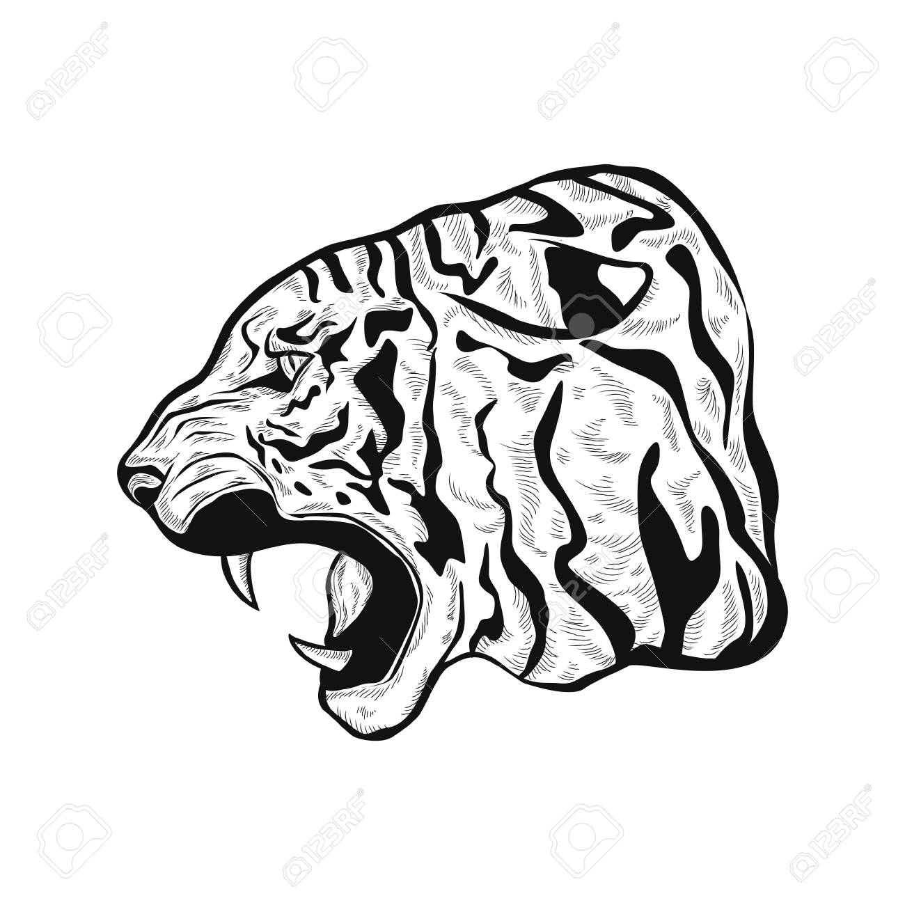 1300x1300 Outline Illustration Of An Anger Tiger Head, Hand Drawn Stylized