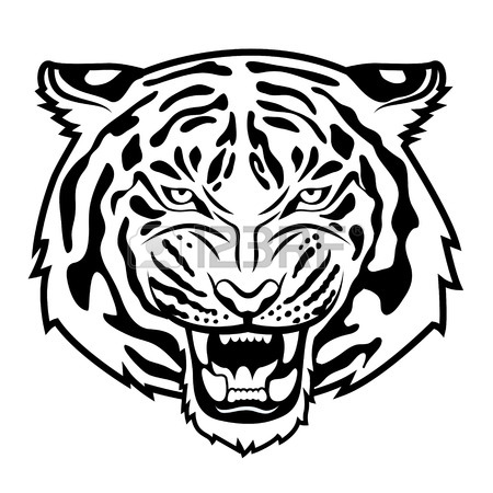 450x450 Roaring Tiger Stock Photos. Royalty Free Business Images