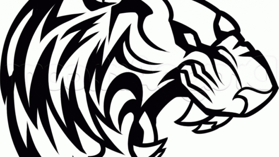 570x320 Simple Tiger Face Drawing How To Draw A Roaring Tiger, Step By