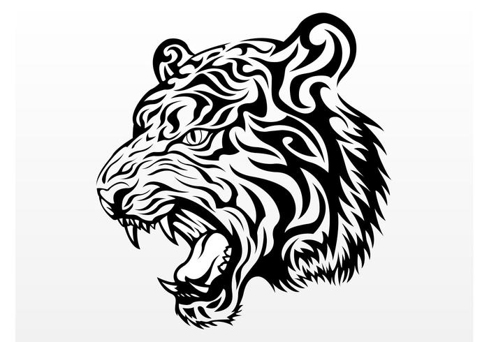 700x490 Tiger Head Vector Graphic