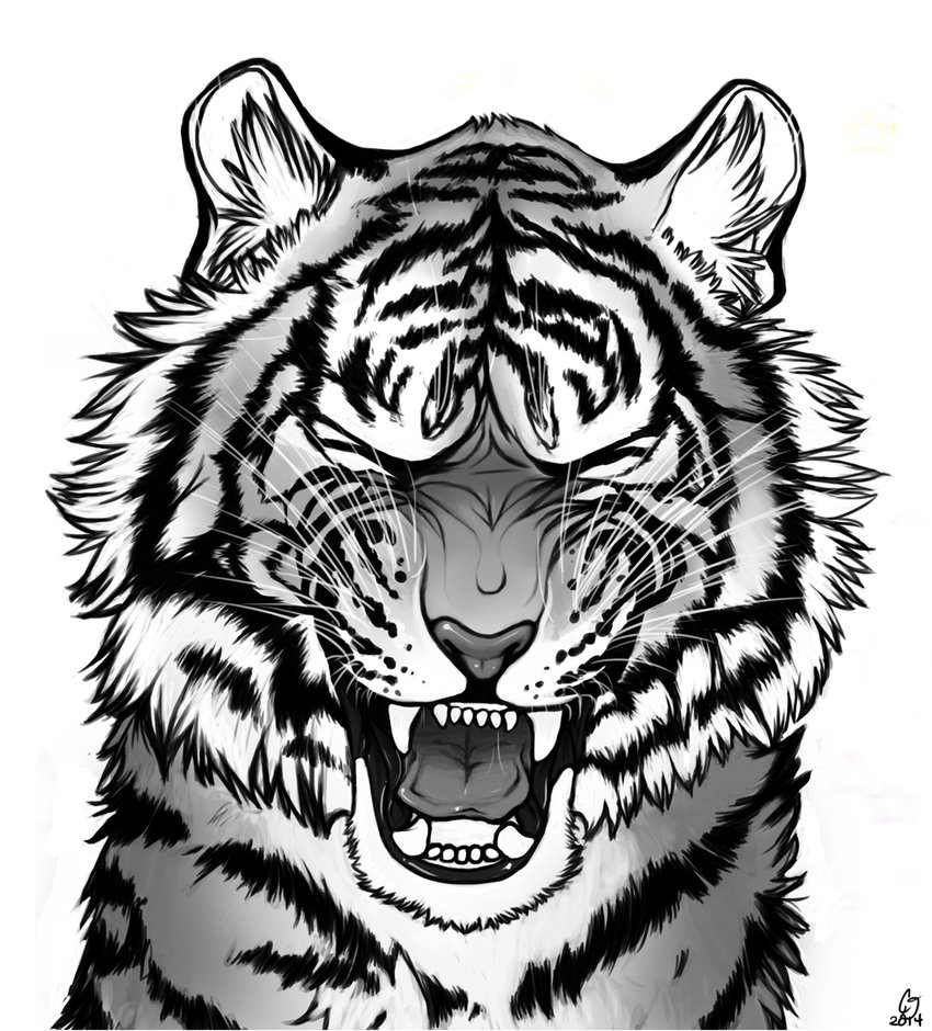 850x940 Tiger Roar By Darkmasterofdragons