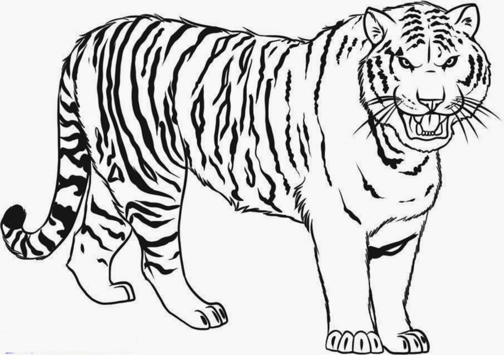 1024x721 Tiger Drawing Tiger Face By Jerry Winick. Tribal Tiger Drawing