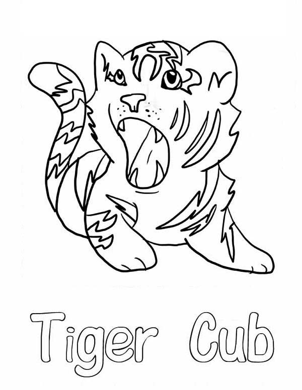 600x776 A Cute Roaring Of Little Tiger Cub Coloring Page