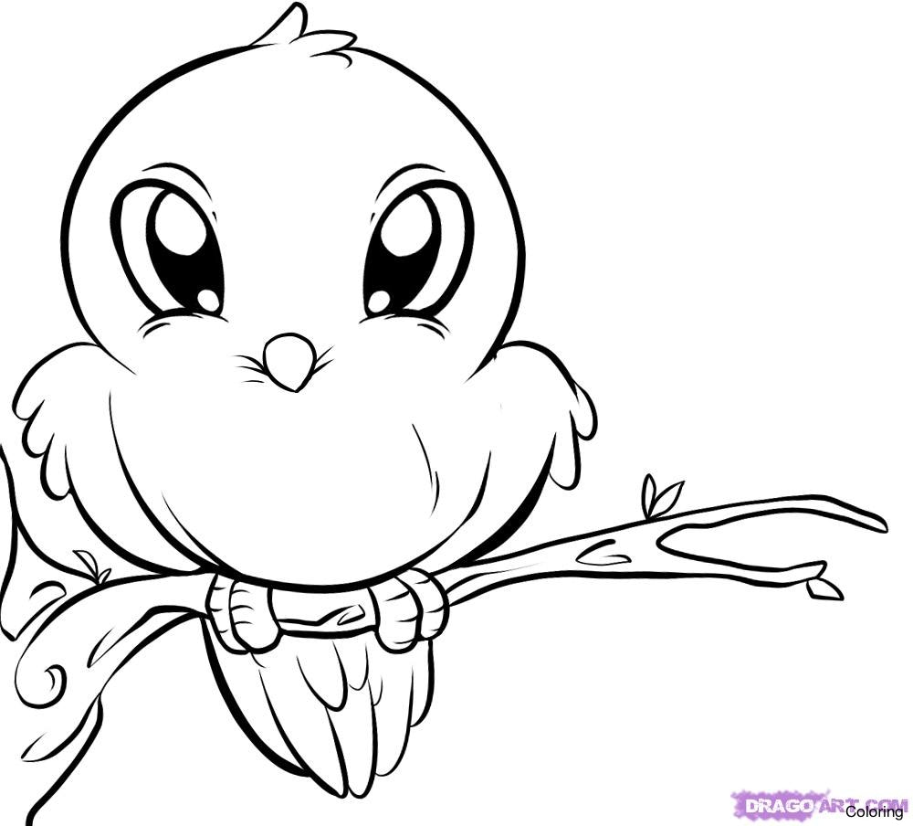 1000x904 How To Draw A Bird For Kids Coloring Cute Cartoon Duck From Dollar