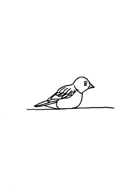 473x650 Drawing Robin Bird Drawings And Illustrations For Sale On Fine