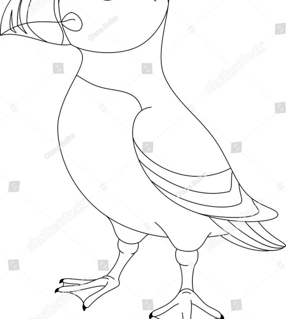 970x1080 Learn Colors With How To Draw Puffin Rock For Baby Coloring