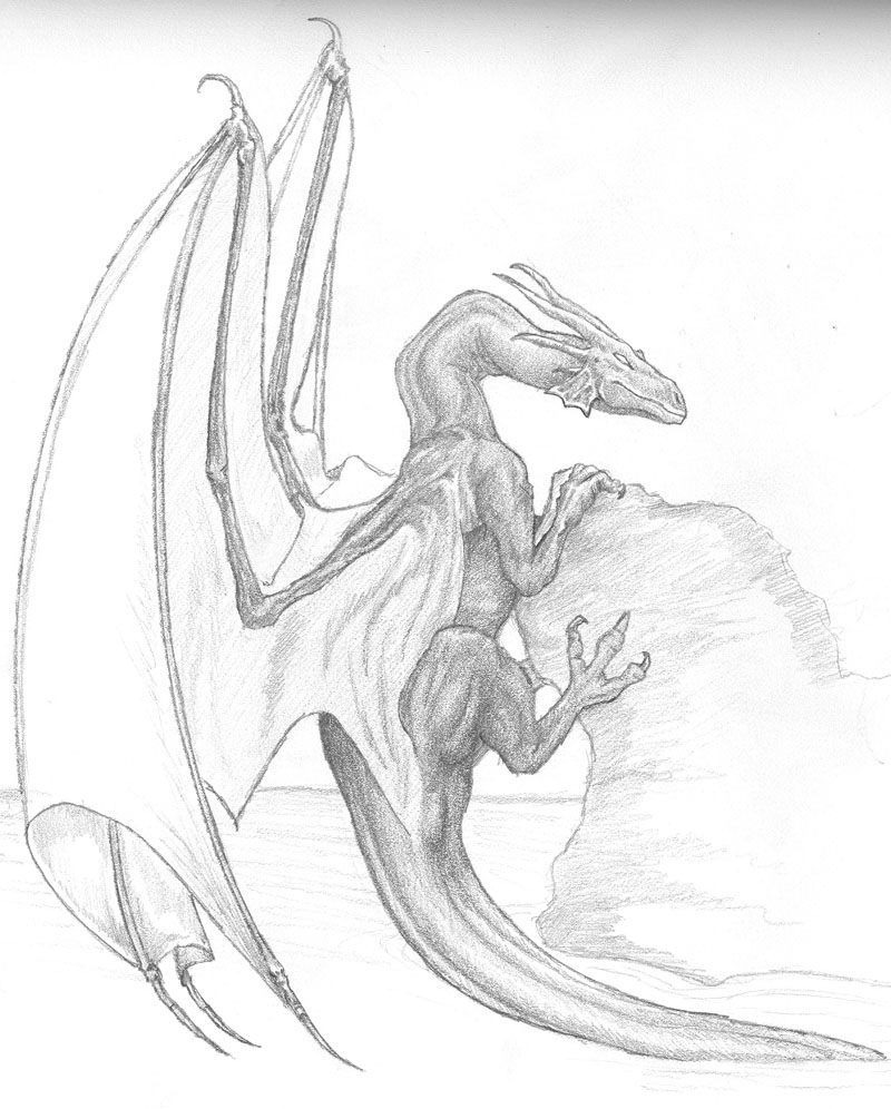 800x996 Dragon Rock Climbing By Trilliah