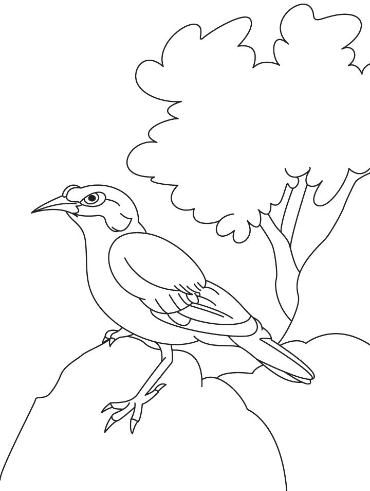 720x954 The Rock Coloring Pages Rock Climbing Coloring Pages 1table.co