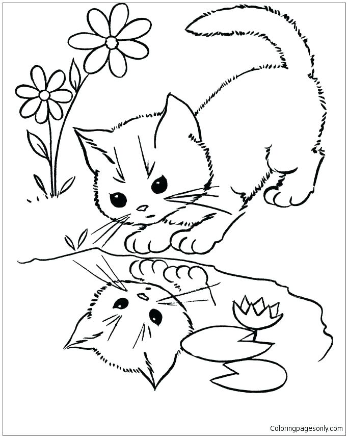 683x859 Awesome Rock Cycle Coloring Page New Water Pages Cat Looking